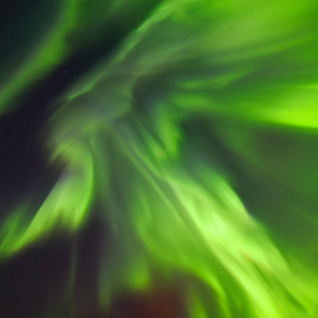 Into the Aurora Wonderland: The Allure of Northern Lights